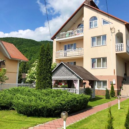 Hotel У Оксани Solotschyn Exterior foto