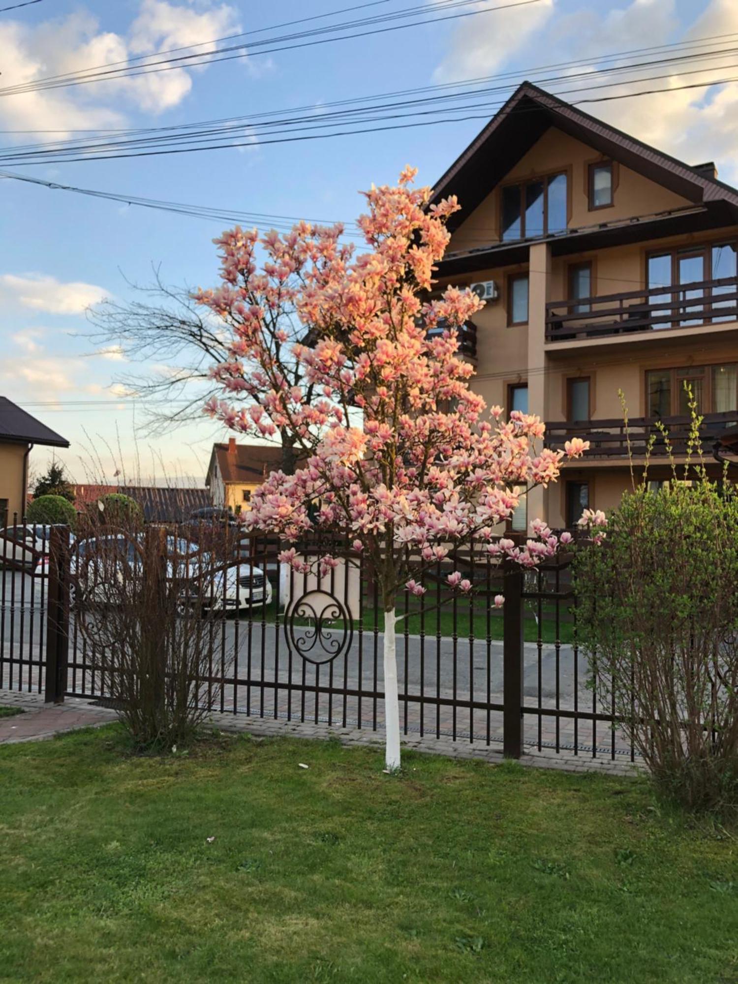 Hotel У Оксани Solotschyn Exterior foto